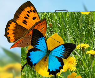 kaiyun开云对户外LED显示屏的验收标准详情