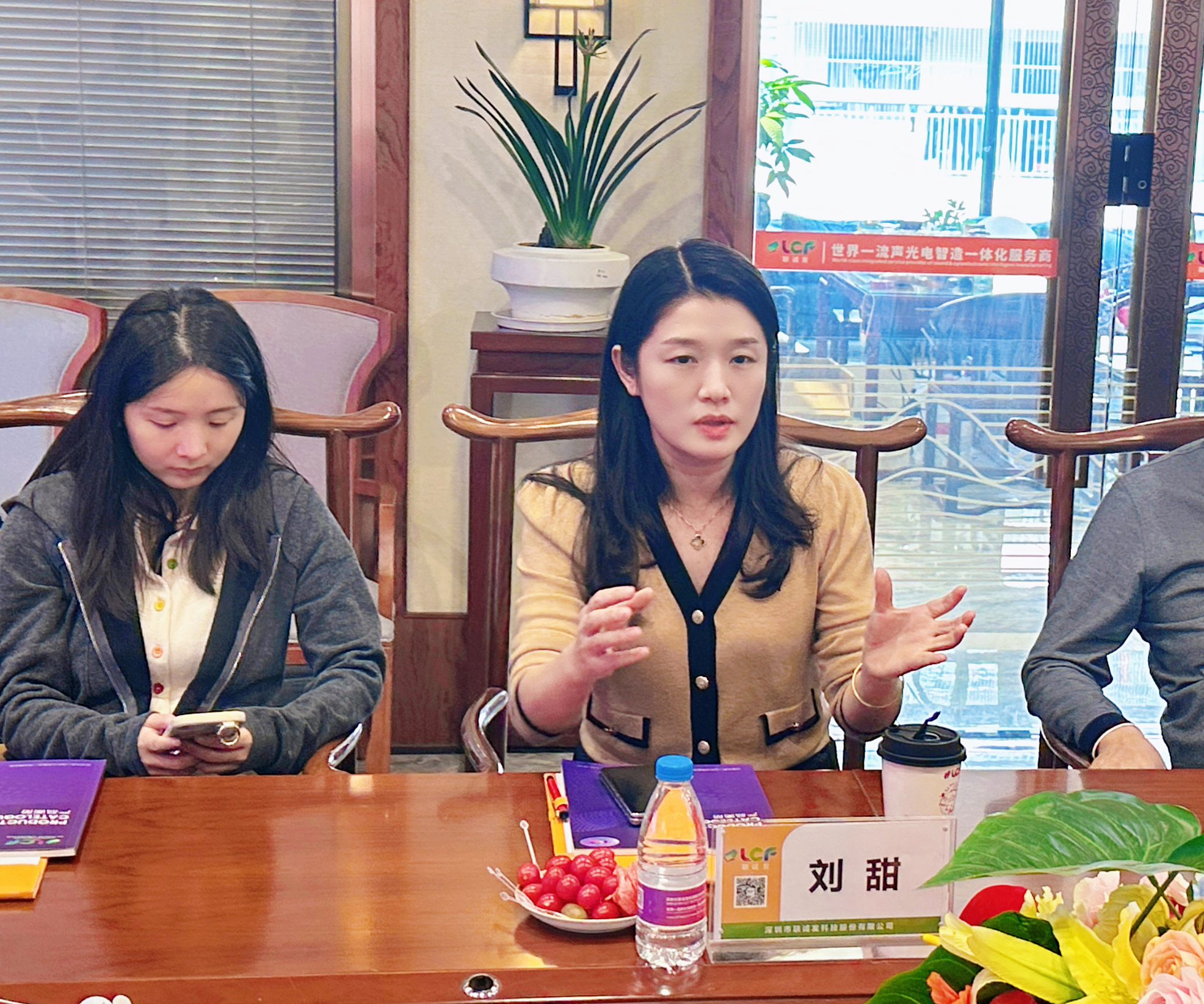 LED透明屏 LED透明屏