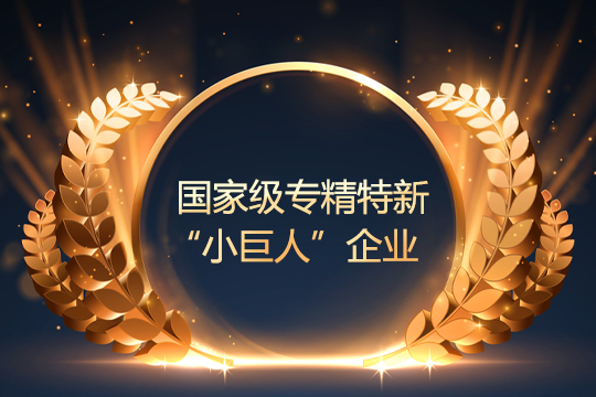 喜报 | kaiyun开云通过国家级专精特新“小巨人”企业复审 